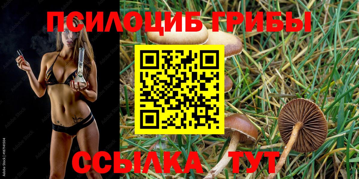 Псилоцибиновые грибы прущие грибы Сунжа